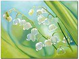 flower 211112