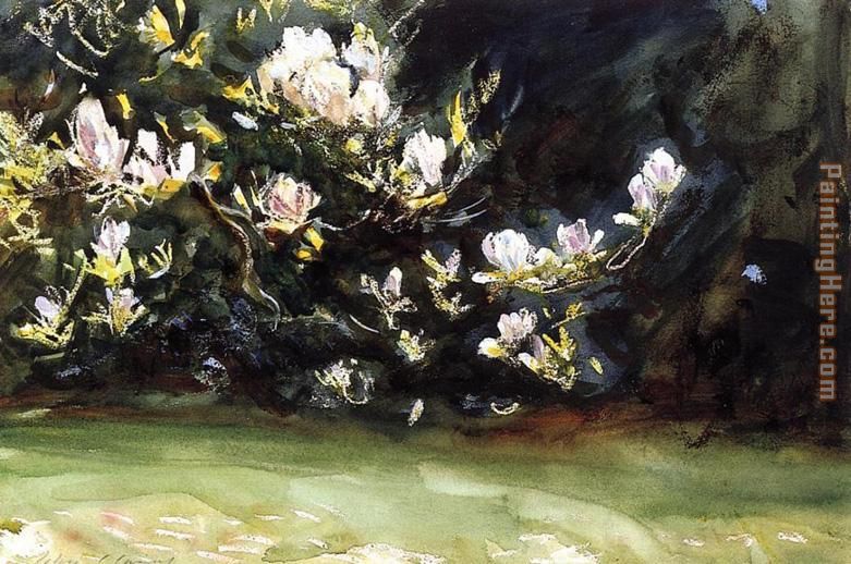 John Singer Sargent Magnolias