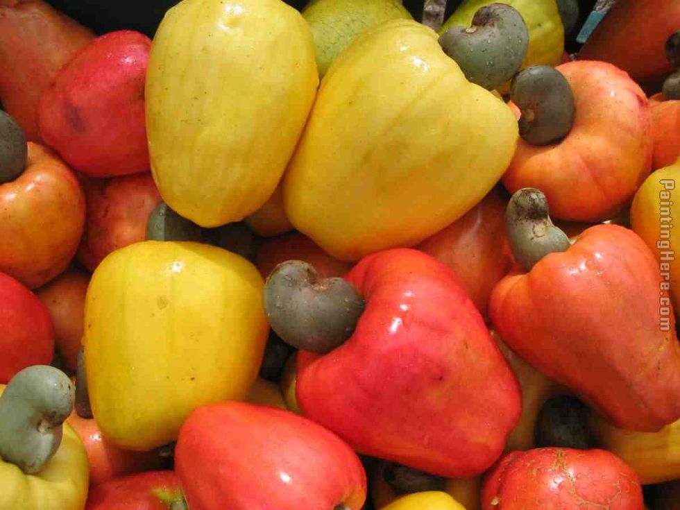 cashew%20fruits.jpg