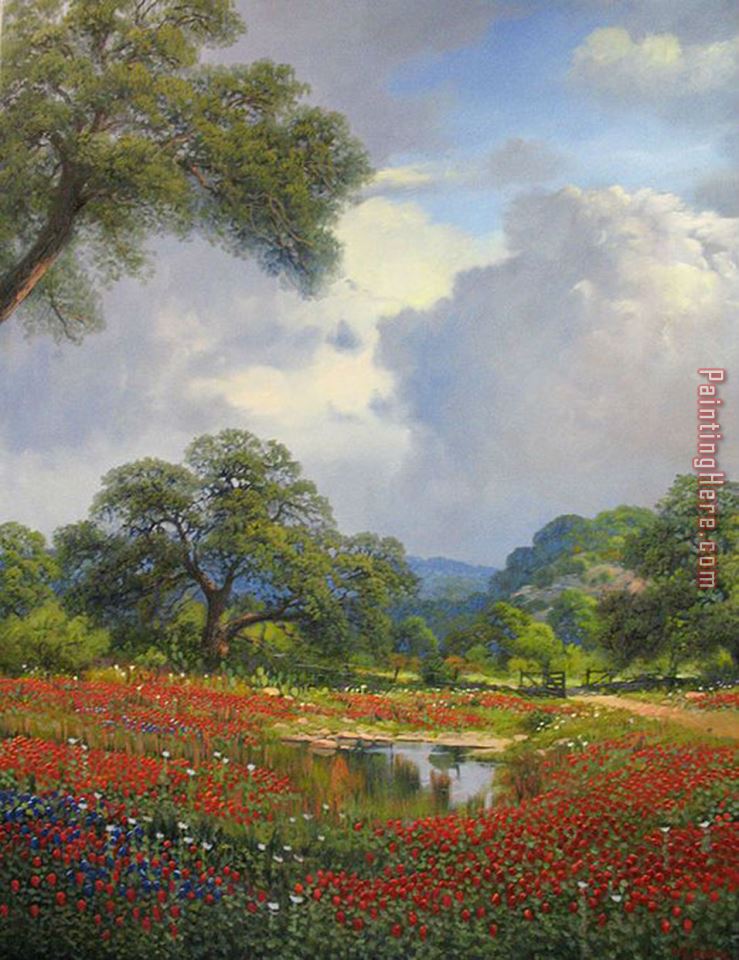 2011 Poppy Field